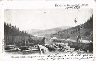 1906 Borszék-fürdő, Baia Borsec; Borpatak völgye / Valea Borcutului (EK)