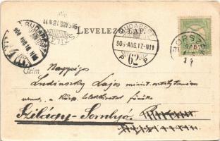 1906 Borszék-fürdő, Baia Borsec; Borpatak völgye / Valea Borcutului (EK)