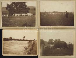 cca 1860-1890 pásztorok, mezei munkák 4 db keményhátú fotó/ Shepards 4 vintage photos