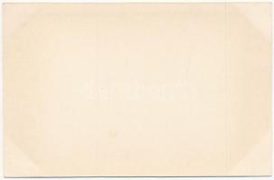 Tátralomnic, Tatranská Lomnica (Magas-Tátra, Vysoké Tatry); Palota szálló / palace hotel. photo (non...