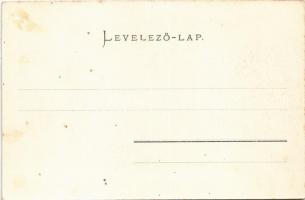 Modor, Modra; Városi fűrészmű, fűrészmalom. Blau Béla kiadása 1903 / sawmill