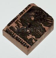 Ex libris nyomóforma fa-linóleum