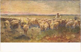 Hortobágy, juhok, magyar folklór s: Vágó (vágott / cut)