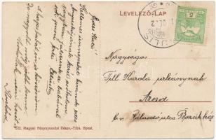 Ópálos, Ópaulis, Paulis (Arad-Hegyalja); szüret ökrökkel / harvest woth oxen  (EK)