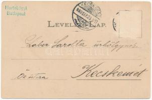 1900 Marosvásárhely, Targu Mures; Status quo ante izr. hitközségi zsinagóga. Holbach Ede kiadása / s...