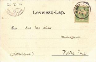 1903 Nagysurány, Surany; Hosszú utca. Schwarcz Jakab kiadása / street