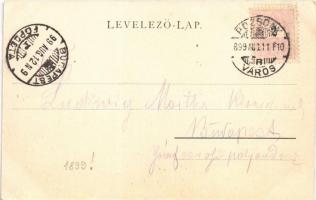 1899 Dévény, Theben a. d. Donau, Devín (Pozsony, Bratislava);  Árpád szobor, híd / statue, bridge