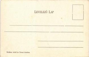 Besztercebánya, Banská Bystrica; látkép. Walther Adolf és Társai kiadása / general view