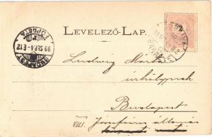 1899 Dobsina, Dobschau; Dobsinai-jégbarlang, belső, Oltár. Wlaszlovits Gusztáv 1050. / ice cave, int...