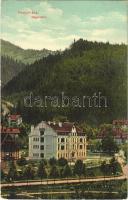 1911 Fenyőháza, Lubochna; Nagyszálló. Holczmann Izidor kiadása / hotel (EK)