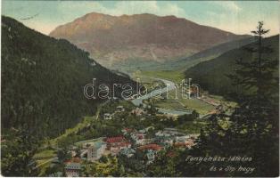1911 Fenyőháza, Lubochna; látkép és a Síp hegy. Holczmann Izidor kiadása / general view, mountain (EK)