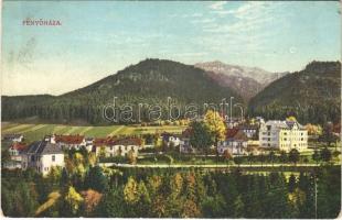 1917 Fenyőháza, Lubochna; látkép. Holczmann Izidor kiadása / general view (EK)