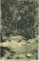 1908 Szentkeresztbánya, Vlahita Noua, Minele Lueta (Szentegyháza, Vlahita); Dobogó-forrás. Fritz Teutsch kiadása / mineral spring (r)