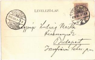 1900 Temesvár, Timisoara; Gyárváros, Kossuth tér, Kohn Testvérek üzlete / Fabrik, Kossuth-Platz / sq...