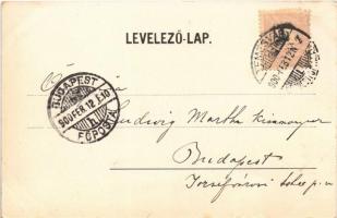 1900 Temesvár, Timisoara; Jenő herceg tér, Temesi Agrár Takarékpénztár. Csendes Jakab kiadása / squa...