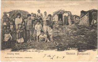 1904 Munkács, Mukacheve, Mukacevo; Cigány tábor. Bertsik Emil kiadása / gypsy camp (kis szakadás / small tear)