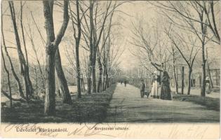 1906 Kovászna, Covasna; sétatér. Bogdán F. fényképész / promenade