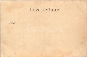 Temesvár, Timisoara; Gyárváros, Kunz József sor, izraelita zsinagóga. Králicsek Béla 6562. / Fabric,...