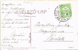 1912 Nagyszentmiklós, Sannicolau Mare; Fő utca. W.L. Bp. 2118. Wiener Náthán kiadása / main street (...