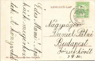 1911 Óléc, Stari Lec; Dániel Pál kastély kert / castle garden (kicsit ázott sarok / slightly wet cor...