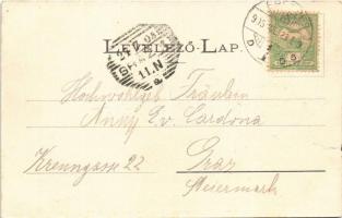 1905 Eperjes, Presov; városháza, Tauth Viktor üzlete. Divald / town hall, shops