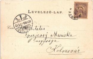 1901 Borszék, Borsec; Remény szálloda, Kossuth kút, Főkút / hotel, spring wells. Art Nouveau, floral...