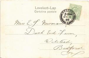 1903 Fiume, Rijeka; Carnevale, Arco Romano / flower carnival, decorated cart / virágkarnevál, feldís...