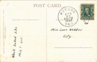 1907 You ought to see the other fellow / Jól elagyabugyált macska verekedés után / Beaten cat, humor...