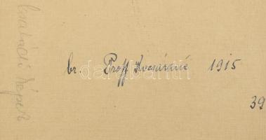 cca 1890-1930 Kb. 70 db fénykép a báró Proff család hagyatékából