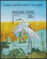 1980 Madarak vágott blokk (6.000) / Mi 146 imperforate block