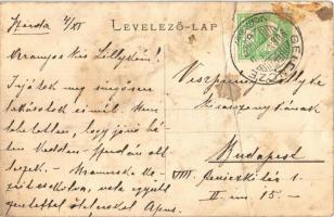 1908 Gelence, Ghelinta; Fűrésztelep keskeny nyomtávú ipari vasúttal, gőzmozdony. János Lajos kiadása...