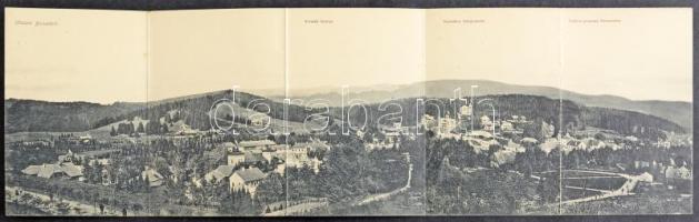 1906 Borszék, Borsec; Öt részes kihajtható panorámalap, Soós kiadása / 5-tiled folding panoramacard