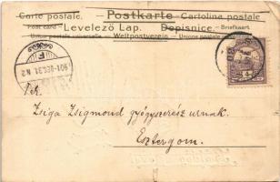 1902 Boldog új évet! Patkó aranyérmékkel és lóherével, domboronyomott litho / New Year greeting, gol...