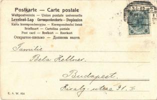 1902 Újévi üdvözlet kéményseprő hölggyel / Prosit Neujahr! / New Year greeting with chimney sweeper ...