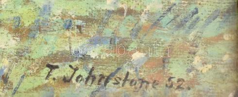 T. Johnstone jelzéssel: Vízparti táj. Olaj, farost, üvegezett fa keretben. Hátoldalán Szépművészeti ...