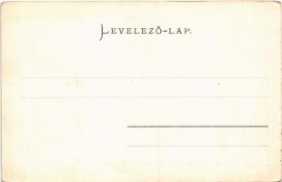 Oravica, Oravita; Kneipp féle gyógyintézet. Weisz Félix kiadása / spa sanatorium (EK)