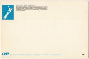 28 db MODERN nagyméretű képeslap (22 cm x 14,5 cm): Új-Zéland / 28 MODERN big sized postcards: New Z...