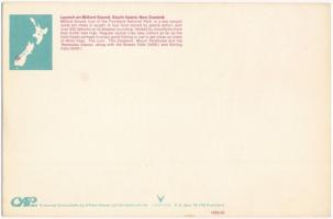 28 db MODERN nagyméretű képeslap (22 cm x 14,5 cm): Új-Zéland / 28 MODERN big sized postcards: New Z...