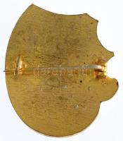 DN "D.V.K.E." aranyozott, zománcozott jelvény (33x31mm) T:1-