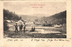 1901 Szarvasháza, Zsdenyova, Zhdenijevo (Bereg); völgy részlet. Bertsik Emil kiadása / valley (EK)