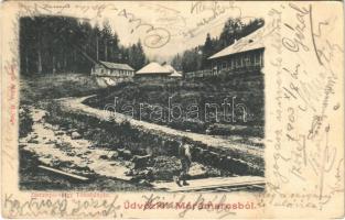 ~1900 Tótosbánya, Totos (Budfalva, Budesti, Máramaros); Zserampo-völgy, Aranybánya. Berges Miksa / gold mine (EK)