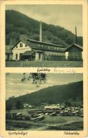 Gyertyánliget, Polyana-Gyertyánliget, Kabola Polyána, Kobyletska Poliana (Máramaros, Maramures); gyártelep, fűrésztelep / factory site with sawmill (EK)