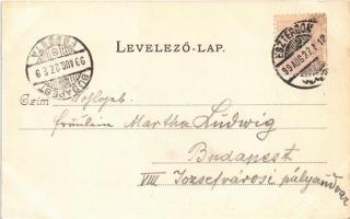 1899 Esztergom, Bazilika, Hajóállomás. Esztergomi lapok nyomdája "Hunnia" könyvnyomda kiad...