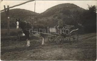 1917 Esztergom, lovaskocsi Esztergom és Dorog között. photo