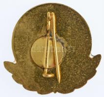 ~1970-1980. "Vízügyi Törzsgárda 20 éves" zománcozott jelvény és kitűző T:1-