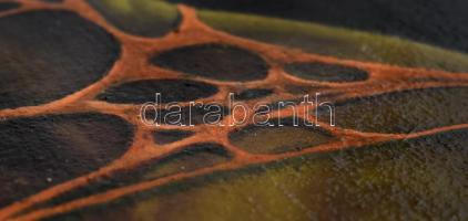 Kolozsvári Grandpierre Miklós (1950-): Bűbáj. Olaj, vászon, jelzett. Alján apró felületi sérüléssel....