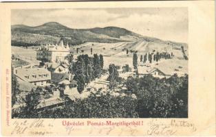 1902 Pomáz, Margitliget. Divald Károly 452. sz. (EK)