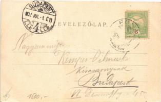 1902 Pomáz, Margitliget. Divald Károly 452. sz. (EK)