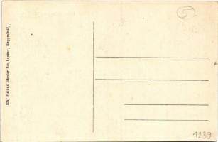 Szobráncfürdő, Kúpele Sobrance; fürdőház. Halász Sándor fényképész 5867. / spa