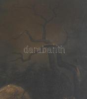 Mezey Lajos (1820-1880): Romantikus táj, 1879. Olaj, vászon. Jelzett a hátoldalán. Restaurált. Antik...